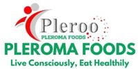 Company name - Pleroma 
