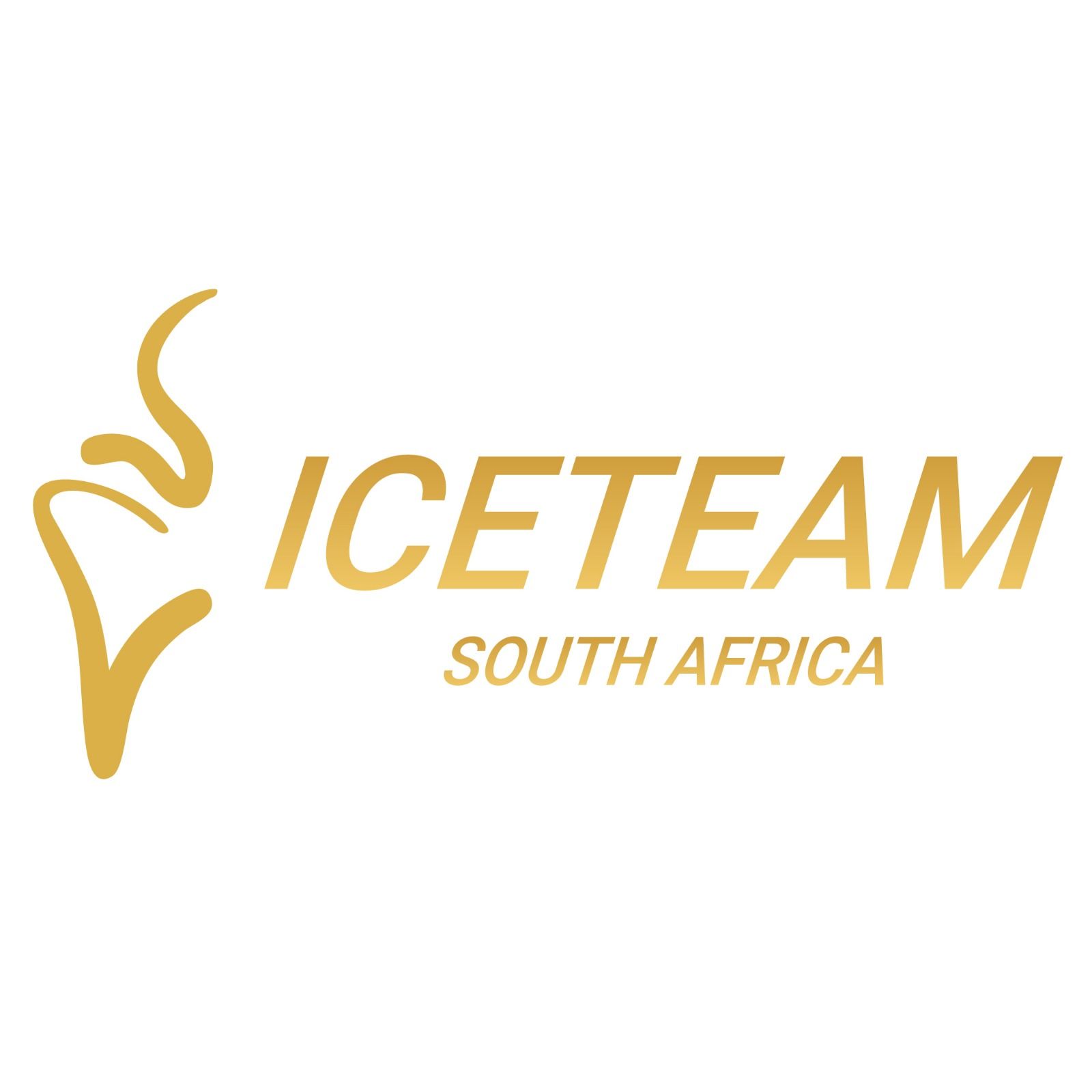 Exhibitor profile image for ICETEAM