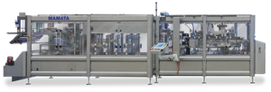 Horizontal Form Fill Seal (HFFS) Packaging Machines