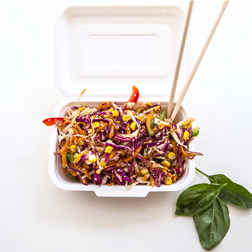Sugarcane Takeaway Containers