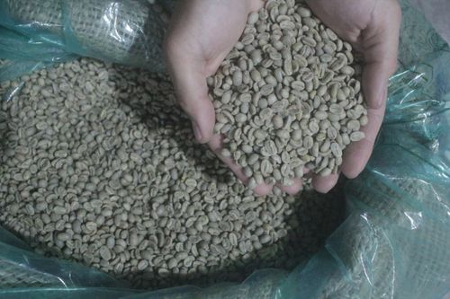 Green Coffee Beans