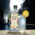 Merlion Gin