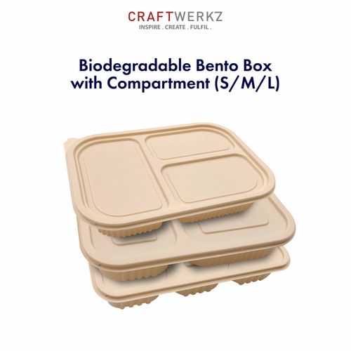 Biodegradable Bento Box with Compartment