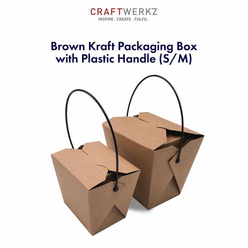 Kraft Packaging Box with Plastic Handle (S/ M)