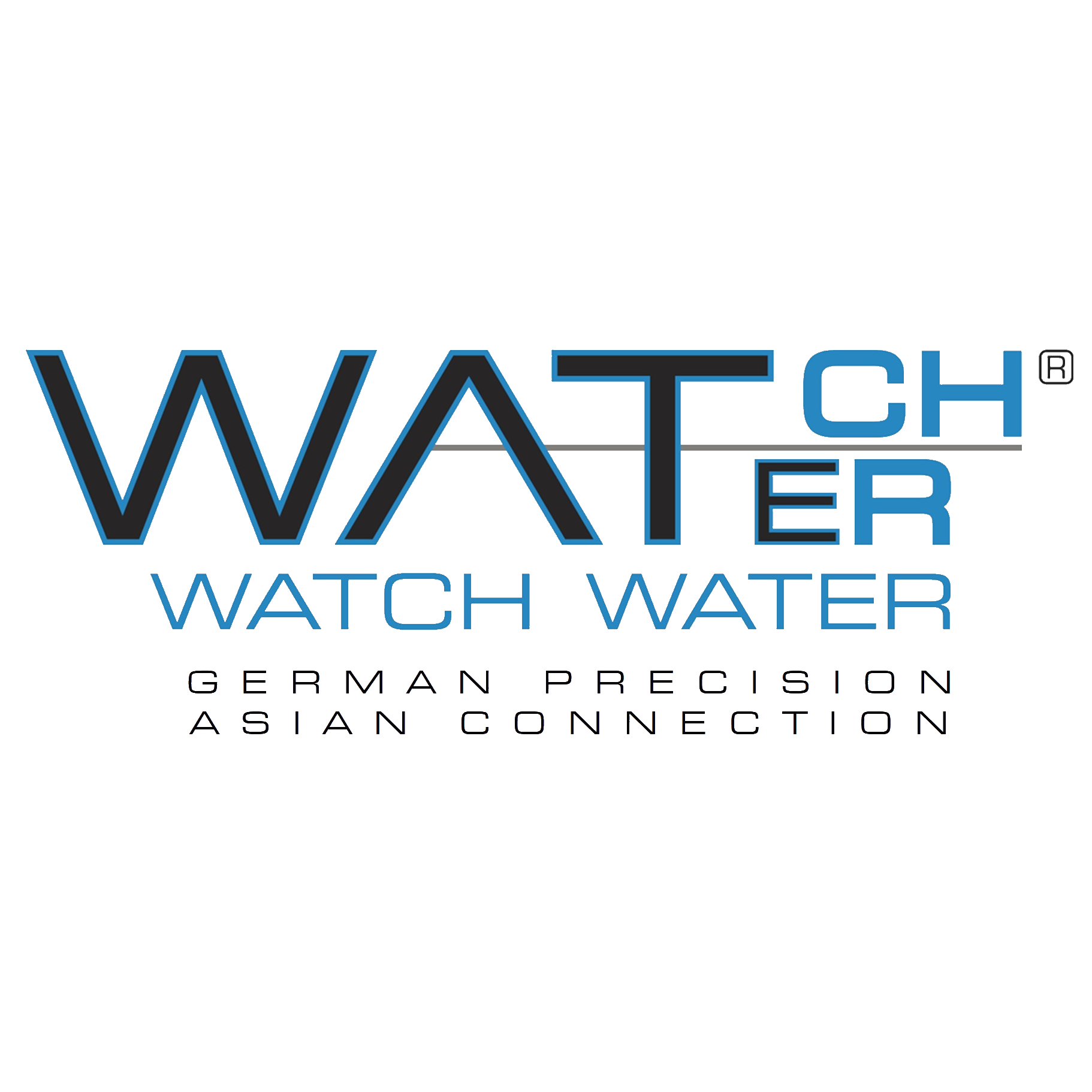 Ww Plus Technik Holdings Pte. Ltd.