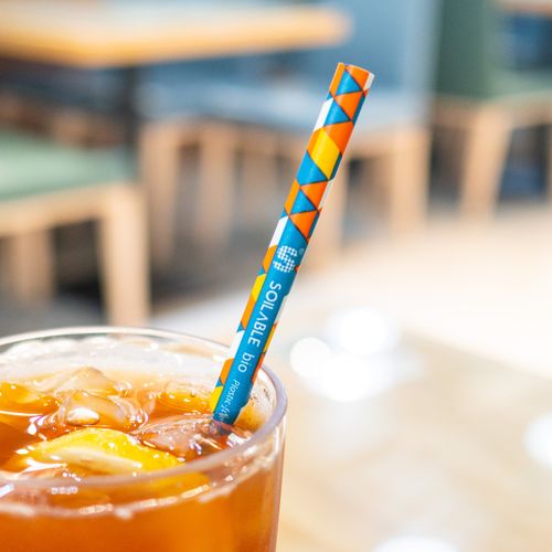 Soilable straws | Jetwell GreenTech Limited