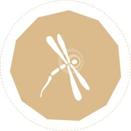 Exhibitor profile image for BIOFOOTWEAR