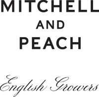 Company name - Mitchell and Peach