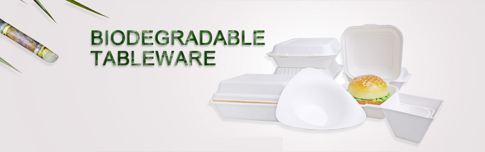 PFAS FREE BIODEGRADABLE TABLEWARE