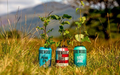 Craft Beer Pioneers BrewDog Launch Sustainability Report