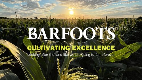Meet the supplier: Barfoots of Botley