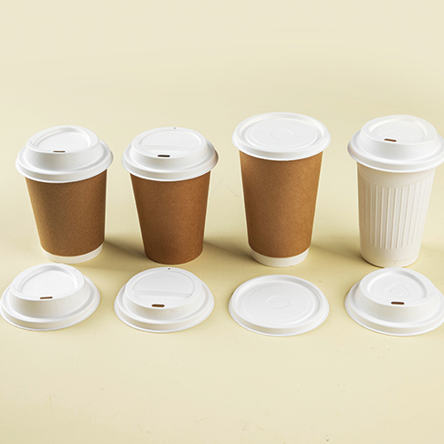 bagasse containers、bagasse coffee cup lids