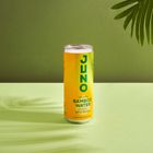 Juno Bamboo Water - Juicy Mango