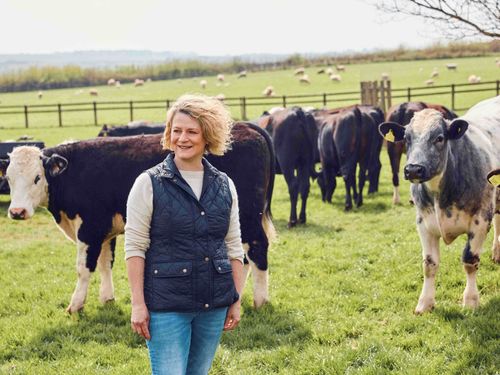 Lidl GB ' beefing' up sustainability with £1.5bn investment in British beef production
