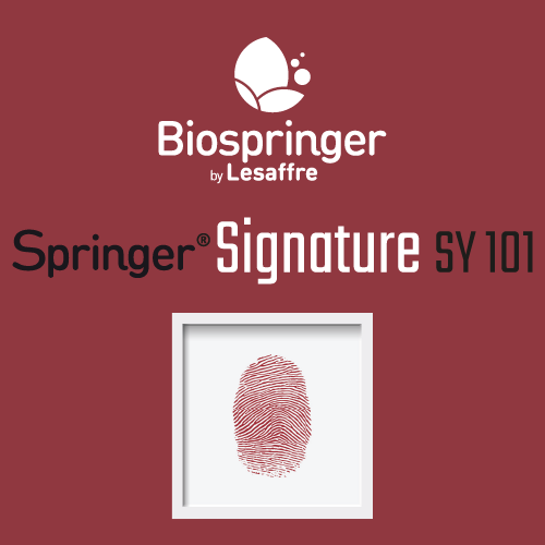 Springer® Signature SY101