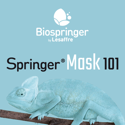 Springer® Mask 101