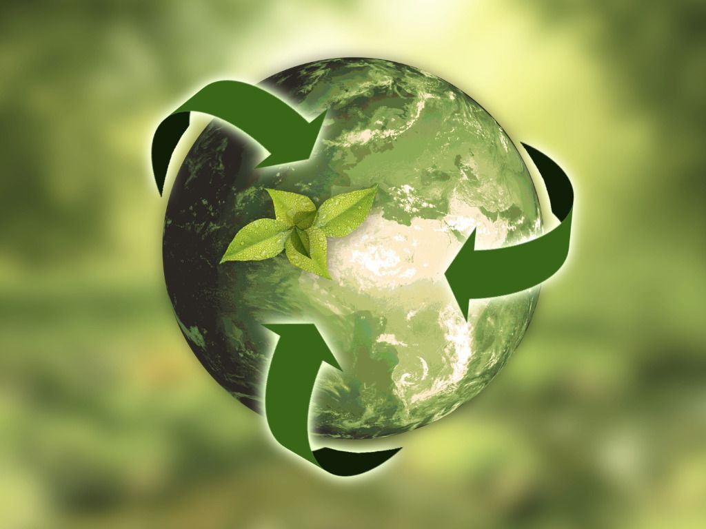 Sustainability & Waste Policy and Environmental Sustainability Policy