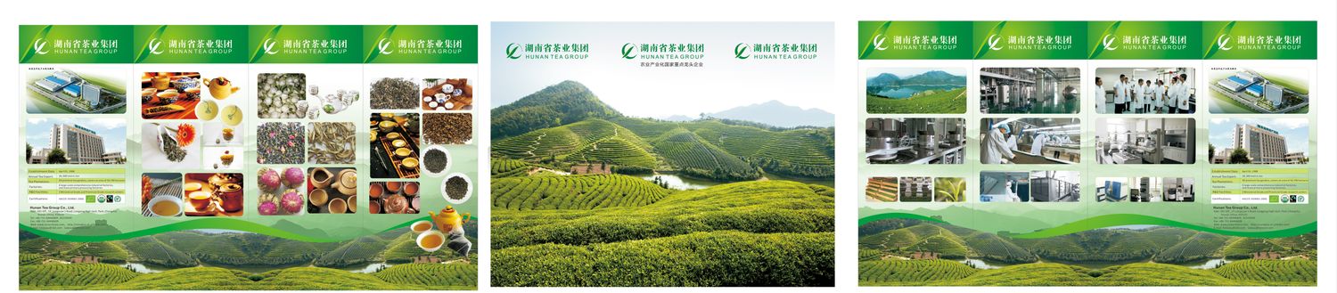 HUNAN TEA GROUP COMPANY LIMITED