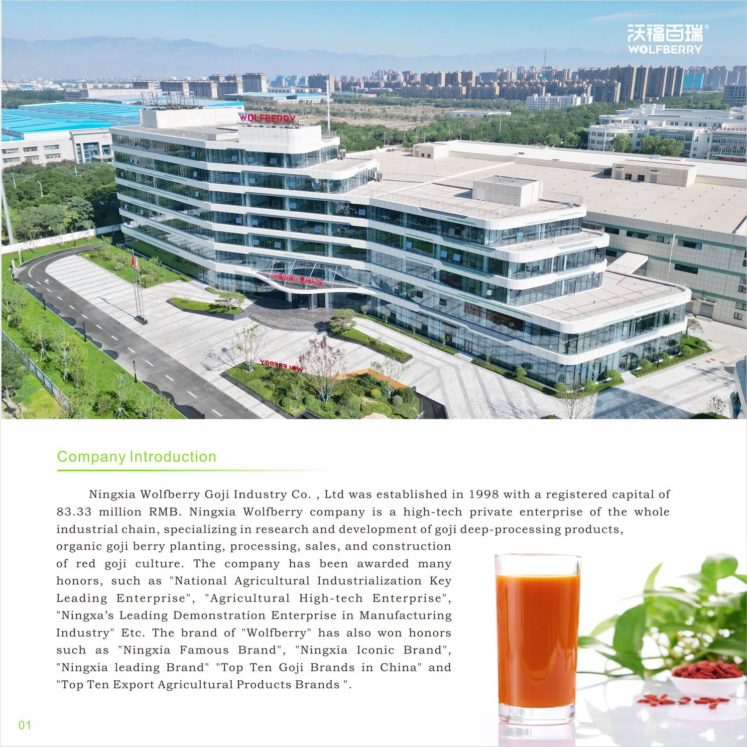 Ningxia Wolfberry Goji Industry Co.,Ltd