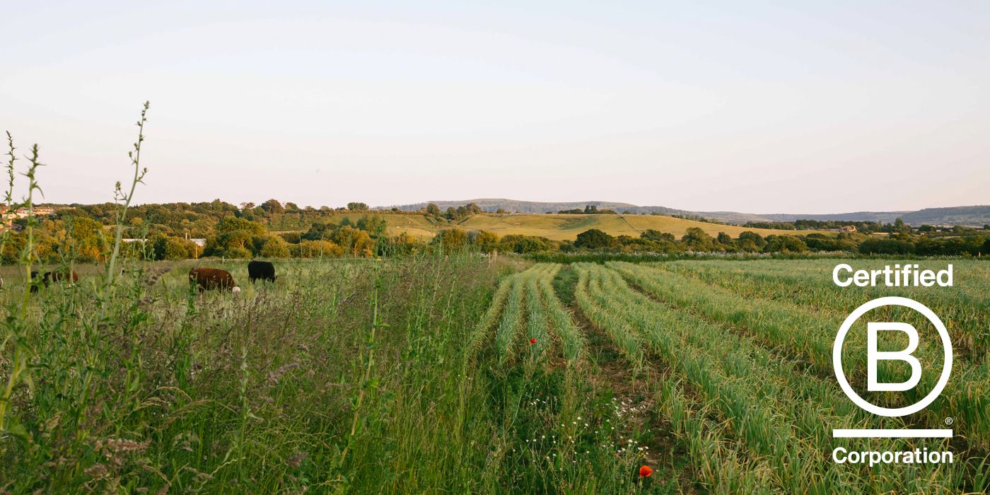 The Garlic Farm