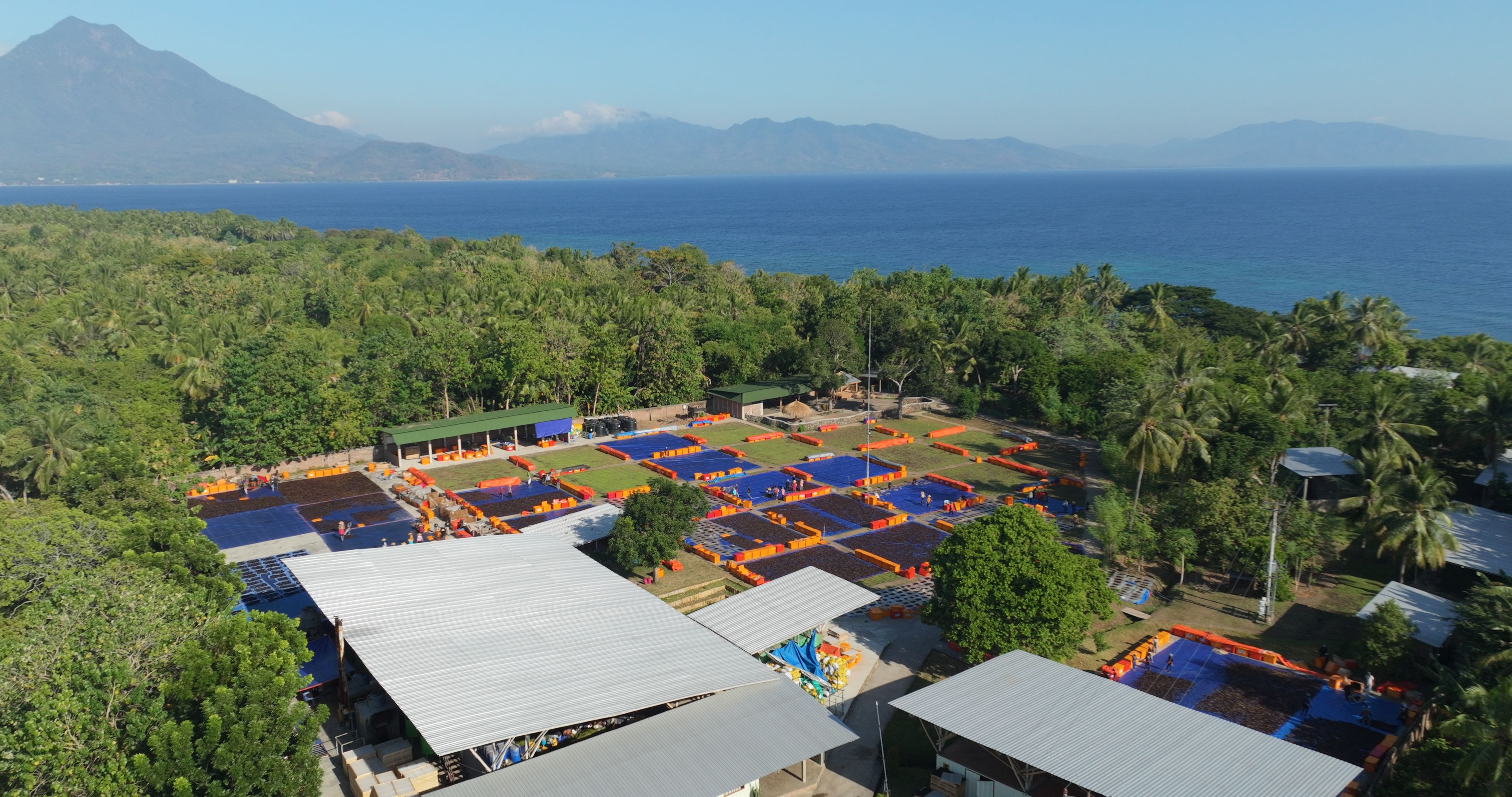 Not Your Usual Ingredient Supplier – Sustainable Agriculture in Action