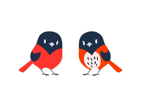 Pure Nature, Organic Flavors from Hualien, Taiwan