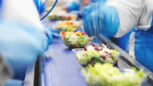 Decreasing Absenteeism Flora Food Group