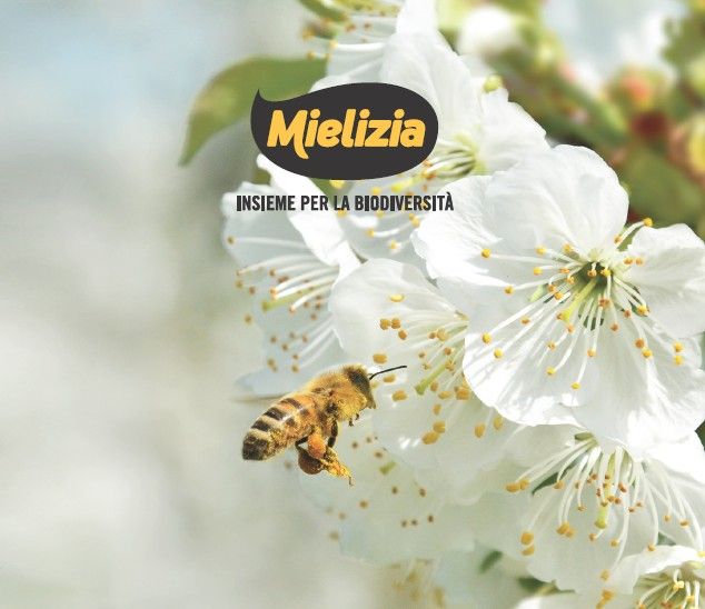 Mielizia - Italian Honey products