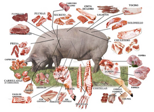 Iberian pork (frozen cuts)