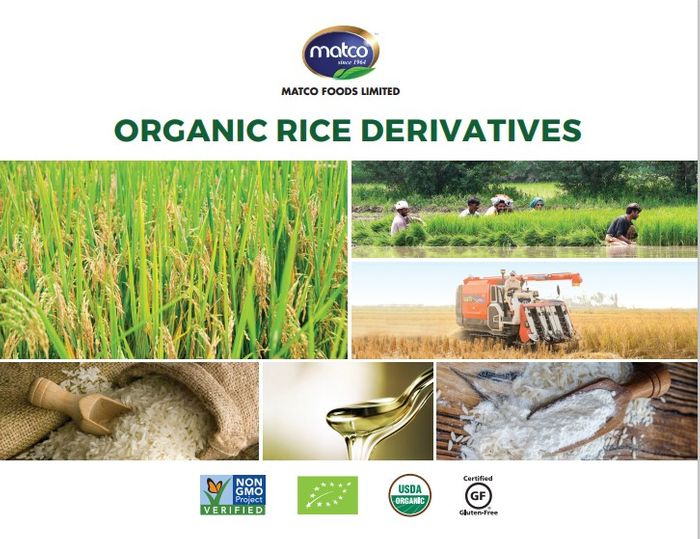 MATCO RICE DERIVATIVE BROCHURE