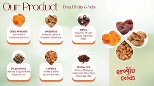 CATALOG FEHMI EROGLU