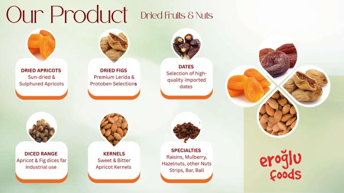 CATALOG FEHMI EROGLU