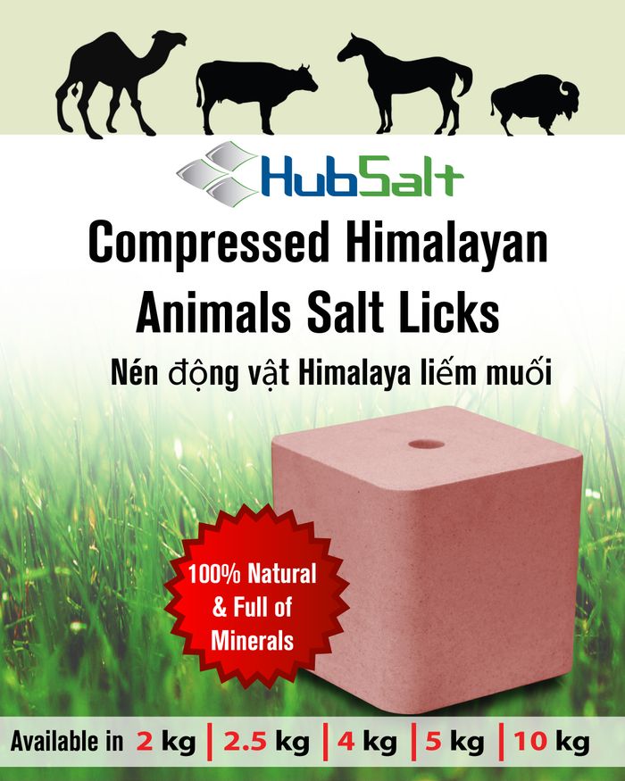 Cattle Lick Brochure