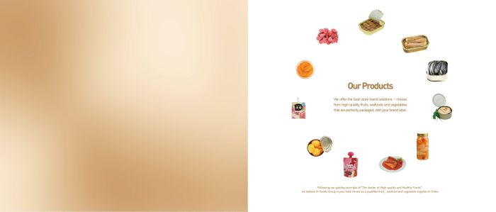 Shandong JY Foods Group Brochure