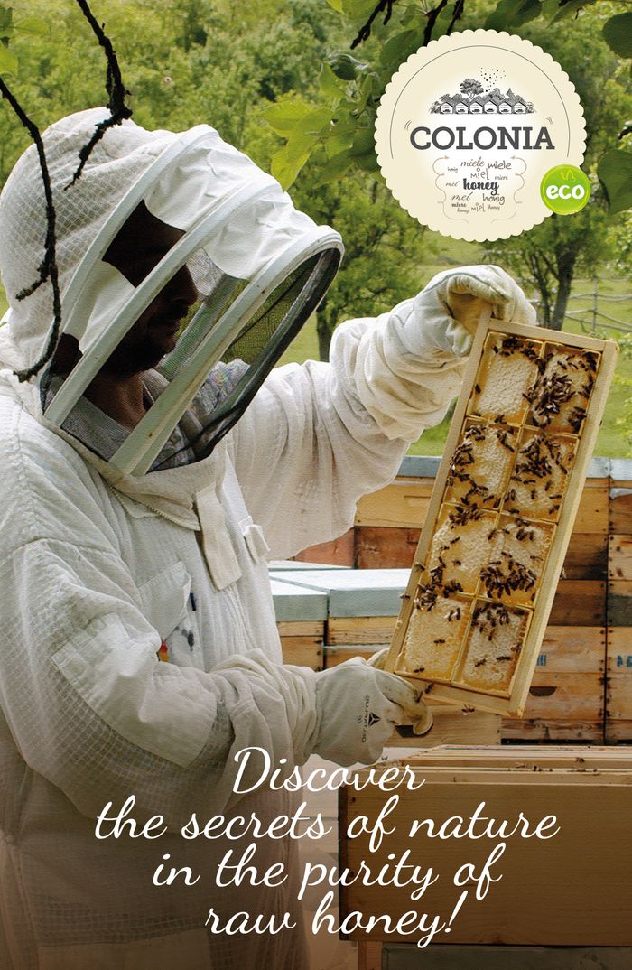 Discover Honey Colonia