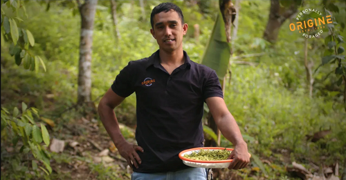 Why Short Supply Chains Matter for Natural Spices