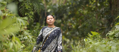 Organic Butterfly Pea - Meet Farmer Vonny