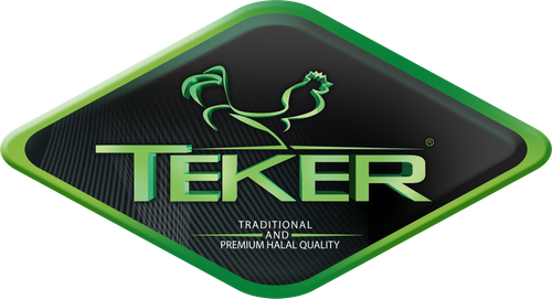 TEKER GROUP