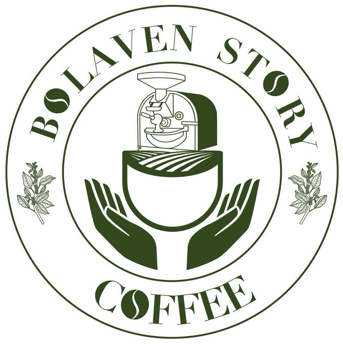 Bolaven Story Coffee