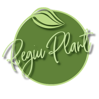 REGIU PLANT