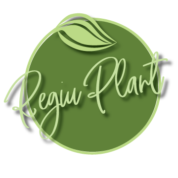 REGIU PLANT