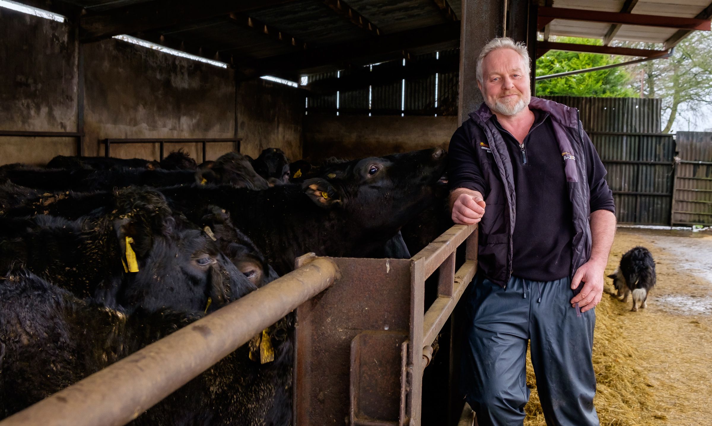 M&S invests £2.1bn to extend its commitment to British Lamb and Beef with decade-long contracts