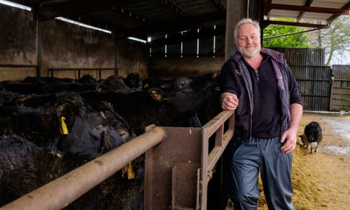 M&S invests £2.1bn to extend its commitment to British Lamb and Beef with decade-long contracts