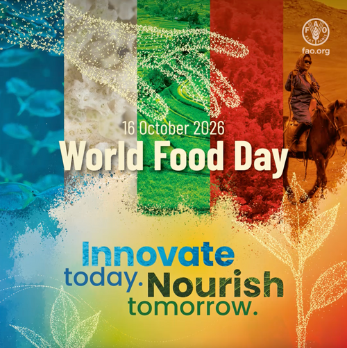 World Food Day 2026: Turning food innovation into everyday impact