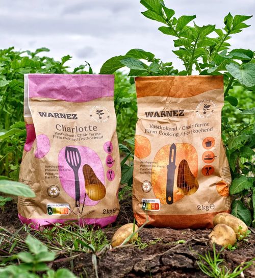 Fresh thinking, global sourcing: Inside the Fresh Produce Section at IFE 2026