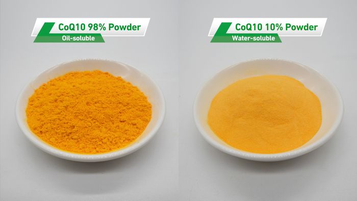 Coenzyme Q10 Powder