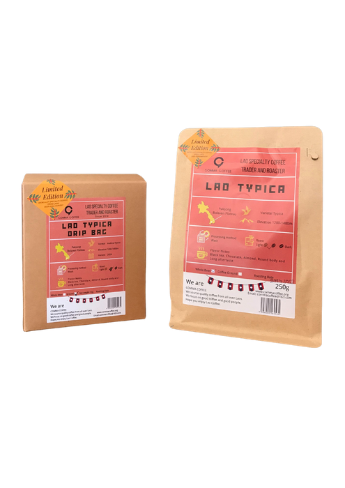Lao Paksong Typica Wash Roasted Bean (250g)/ Drip Box (12g*10bags)