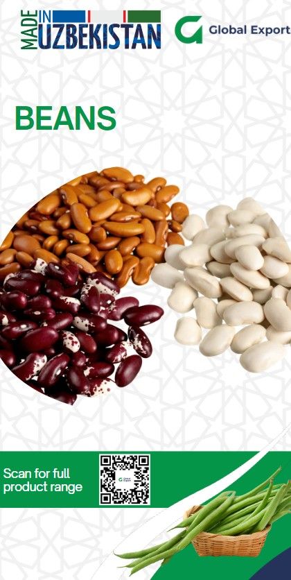 Fresh fruit and vegetables, nuts, dried fruits and legumes.