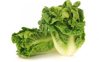 Lettuce – Little Gem