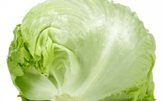 Lettuce